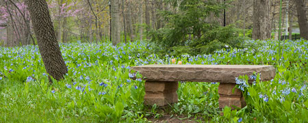 A lone stone bench sits among the bluebells.