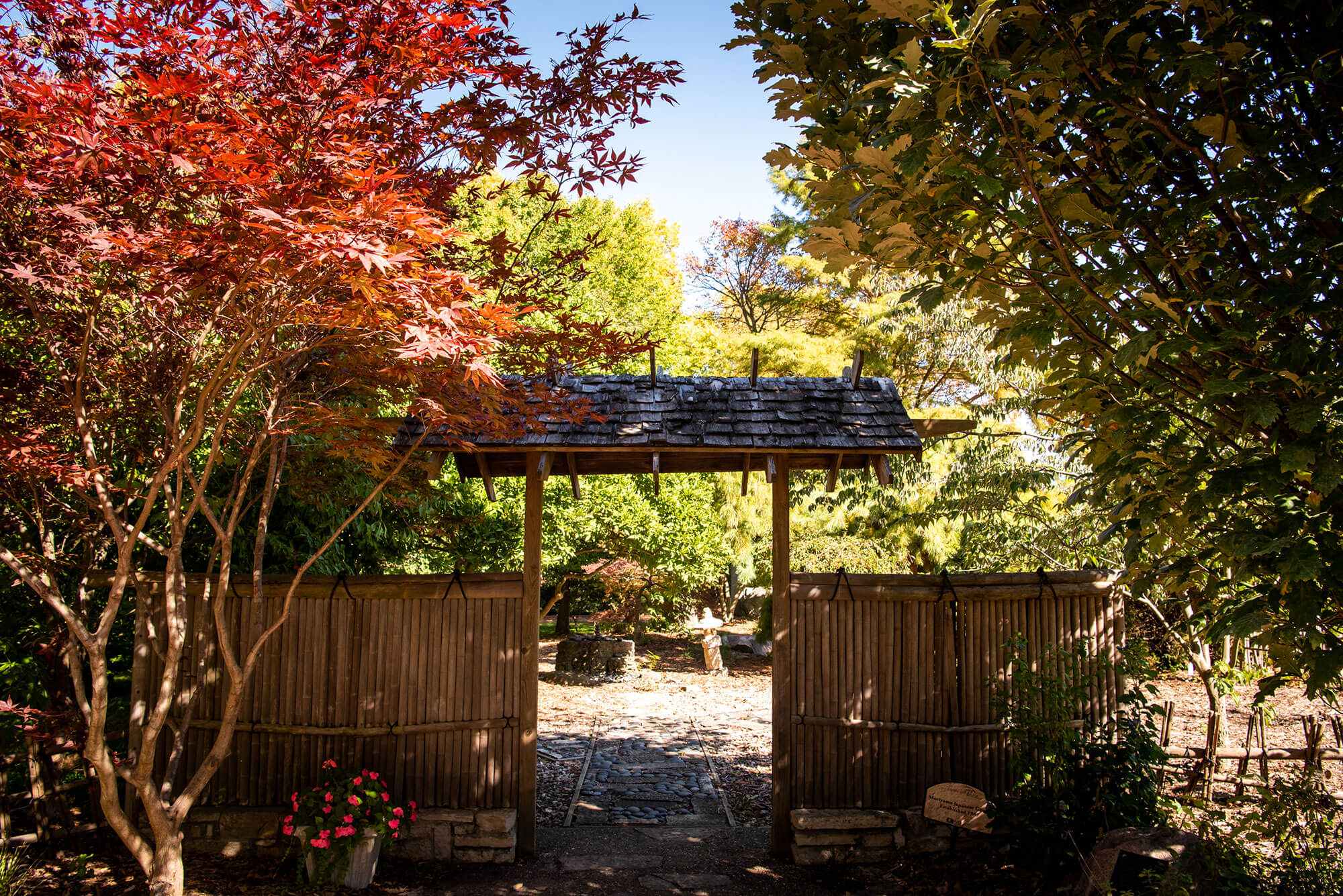 Japanese Garden in the fall.