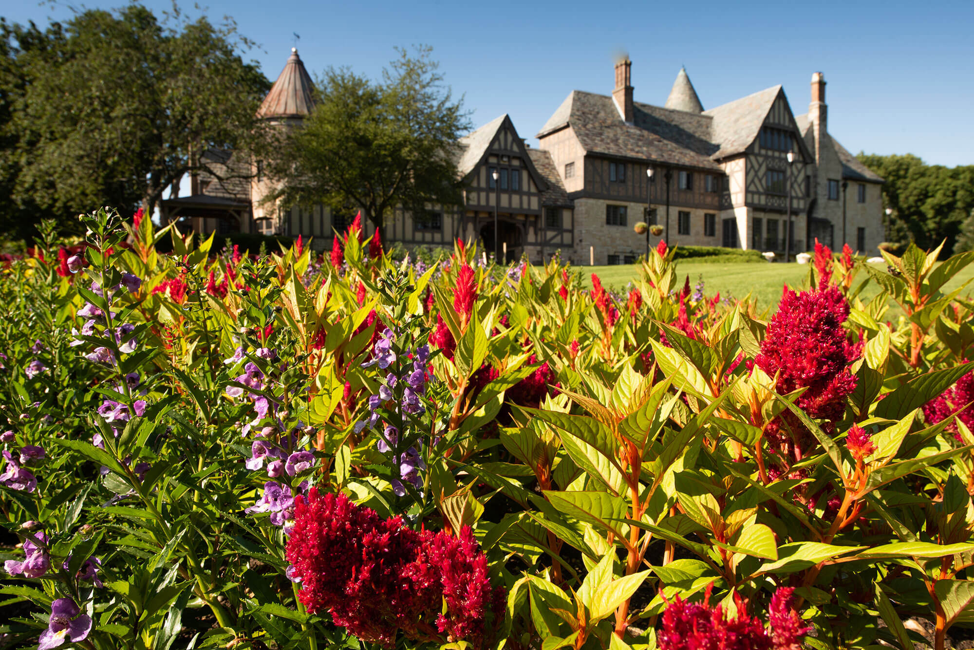 Summer flowers on the north lawn.