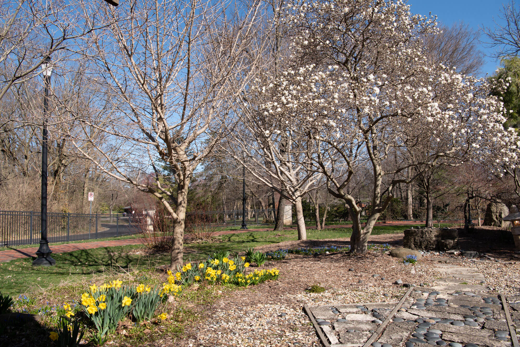 The pathway on the spring.