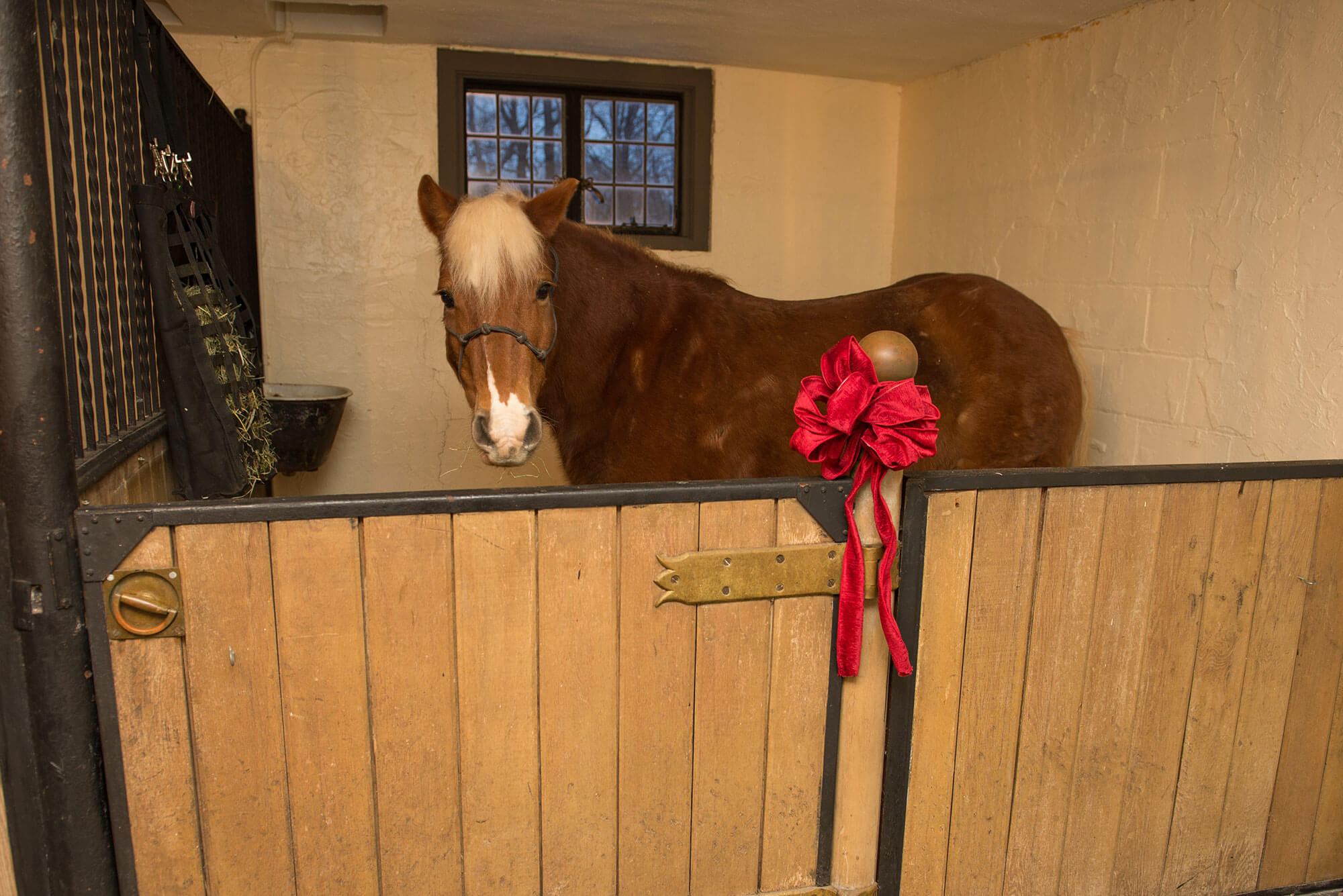 Horse in the decorated stable.