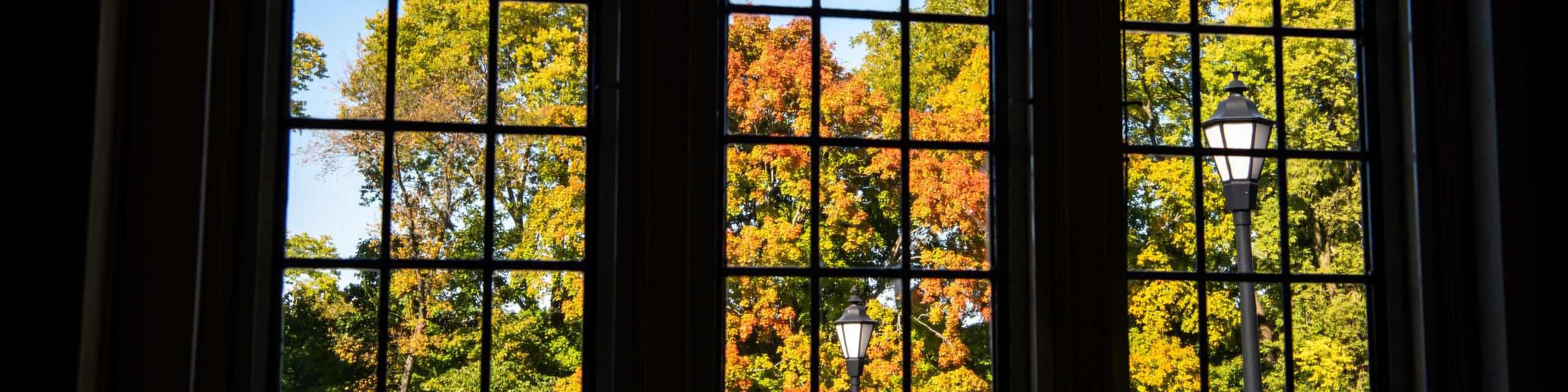 A view outside through the windows of the manor.